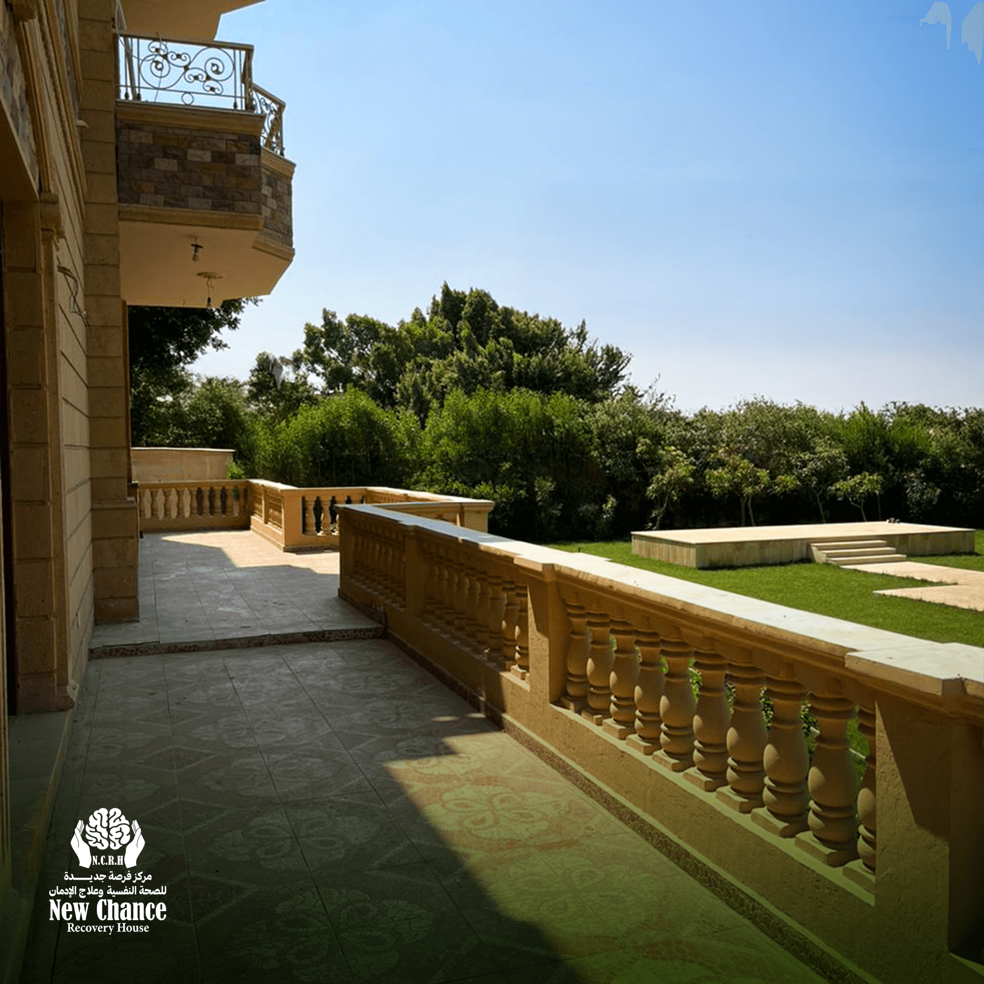 Open green landscape supporting emotional healing and resilience