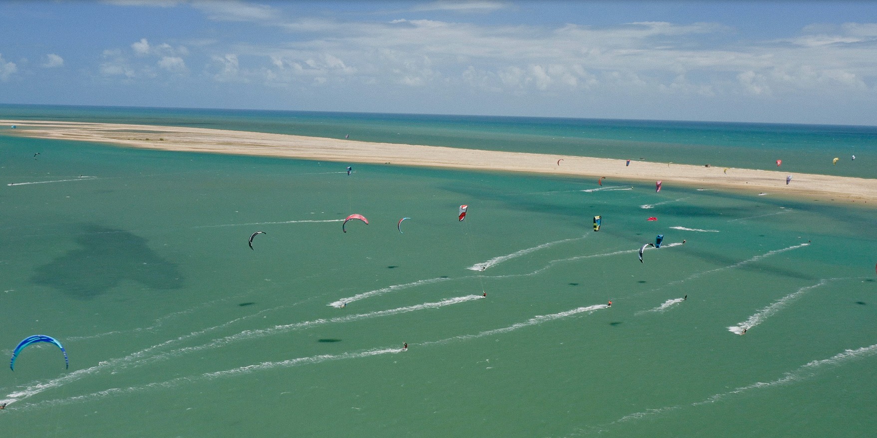 Close-up of a dark green leaf showing its textured surface and central vein against a muted background.
