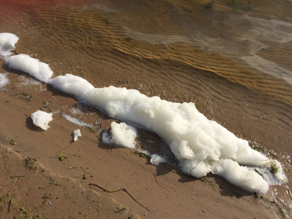 PFAS Foam on the shores of Van Ettan Lake, Michigan.