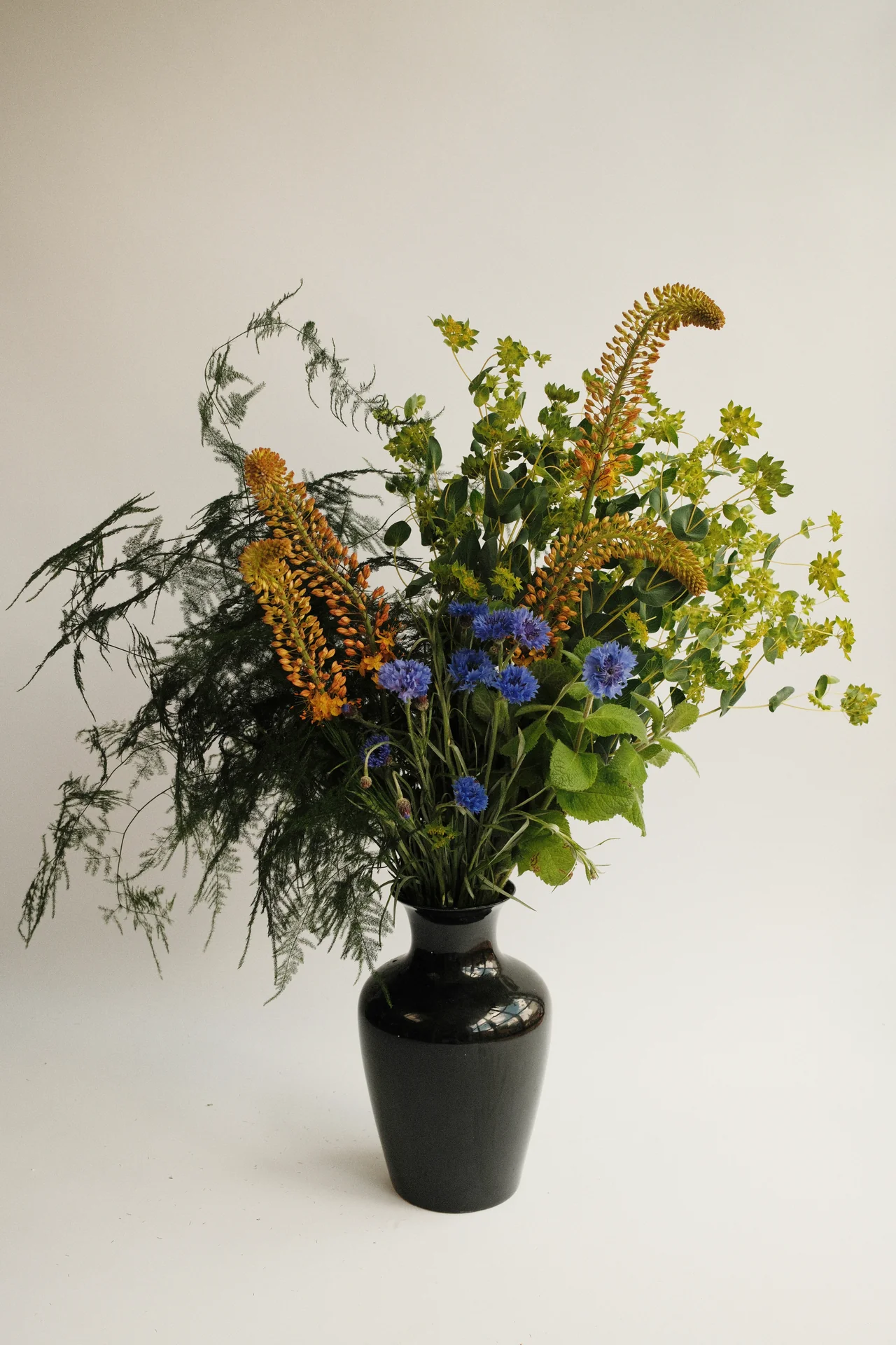 Signature Bunch