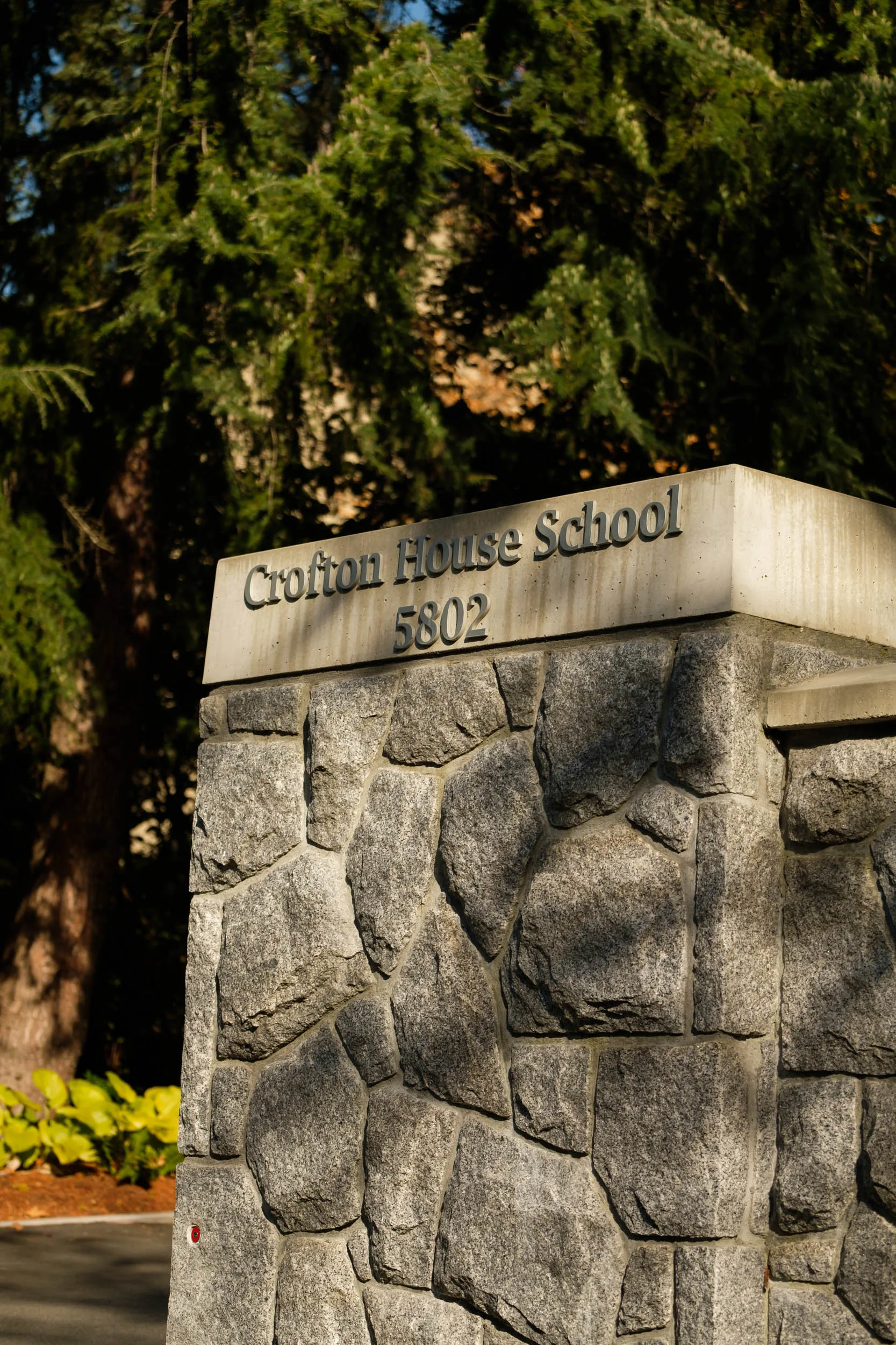 Project - The Meadow House