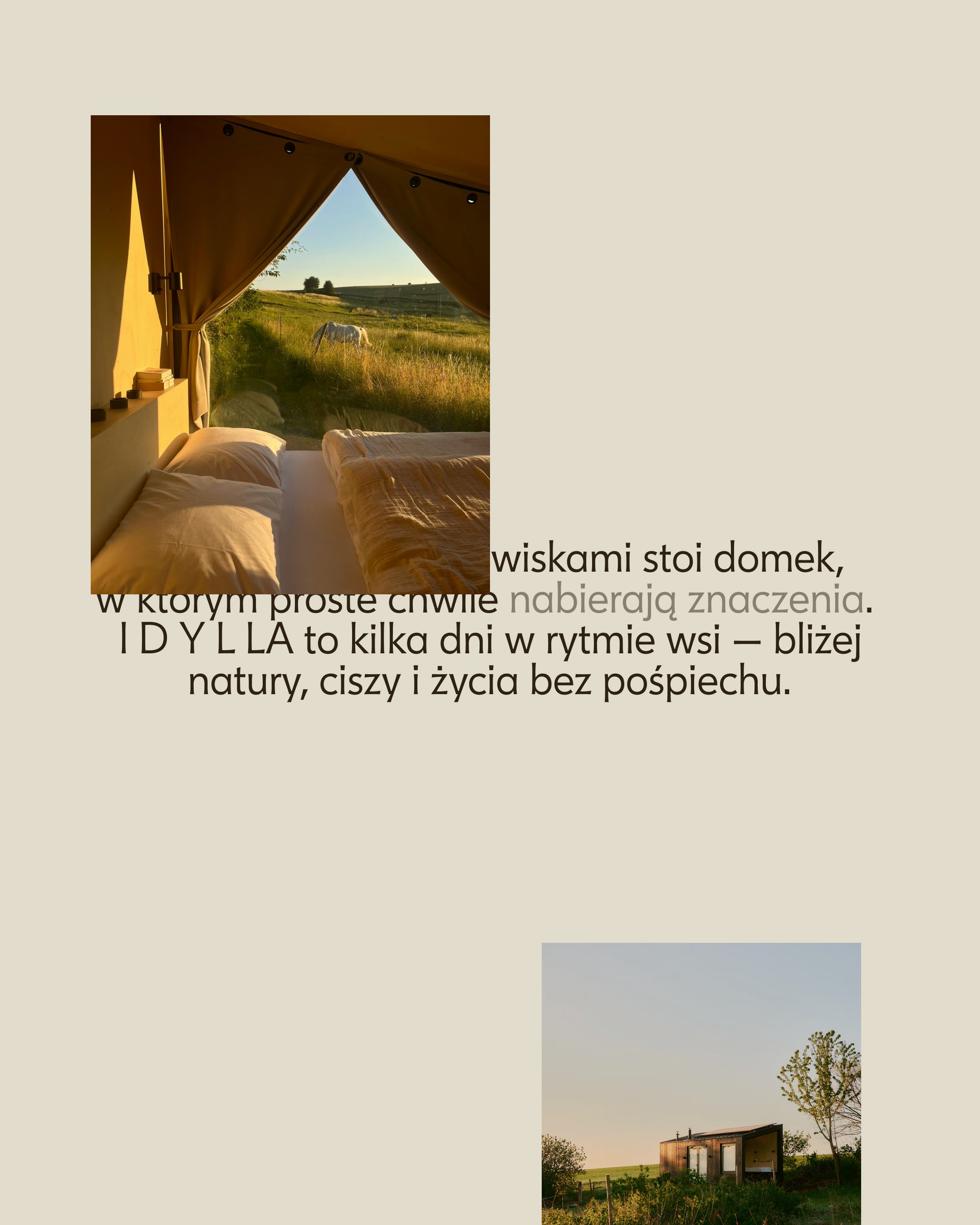 Idylla - website bio section