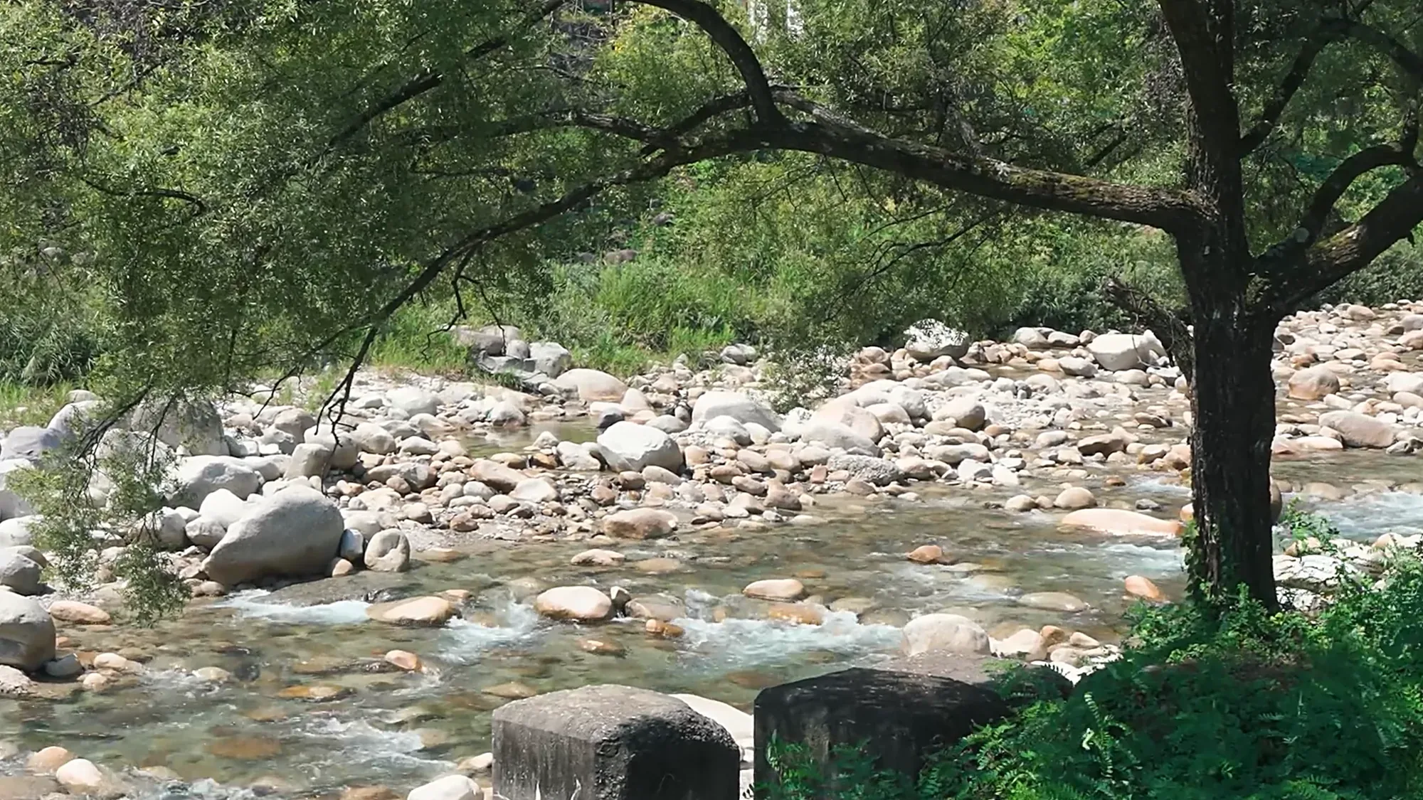 A stony river bed under summer trees near Kurokawa Onsen