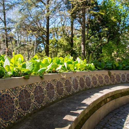 公园里,一条弯曲的石凳上覆盖着精美的瓷砖细节,周围环绕着郁郁葱葱的绿色植物和高大的树木。