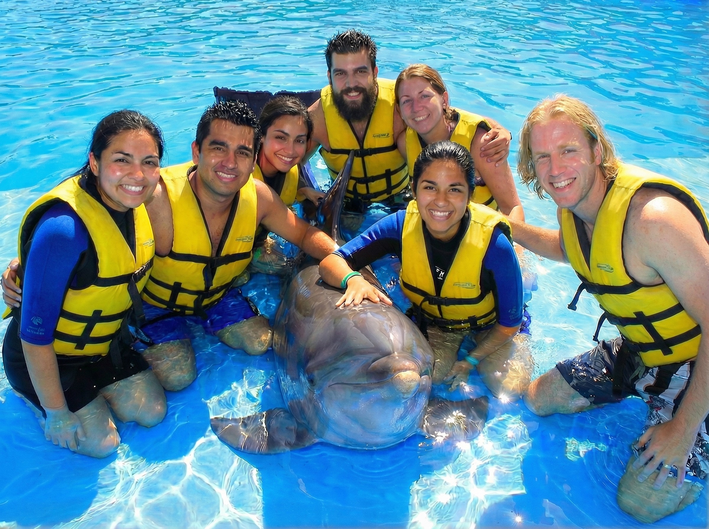 Group of people in yellow life jackets posing with a dolphin in a blue pool