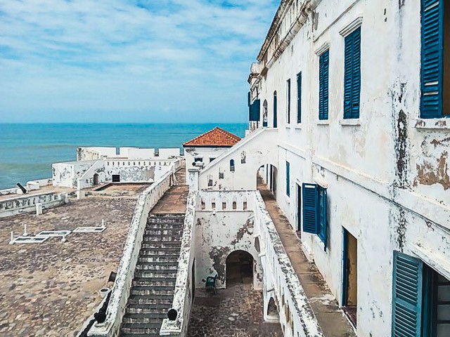 a tree with pink flowers in front of a store