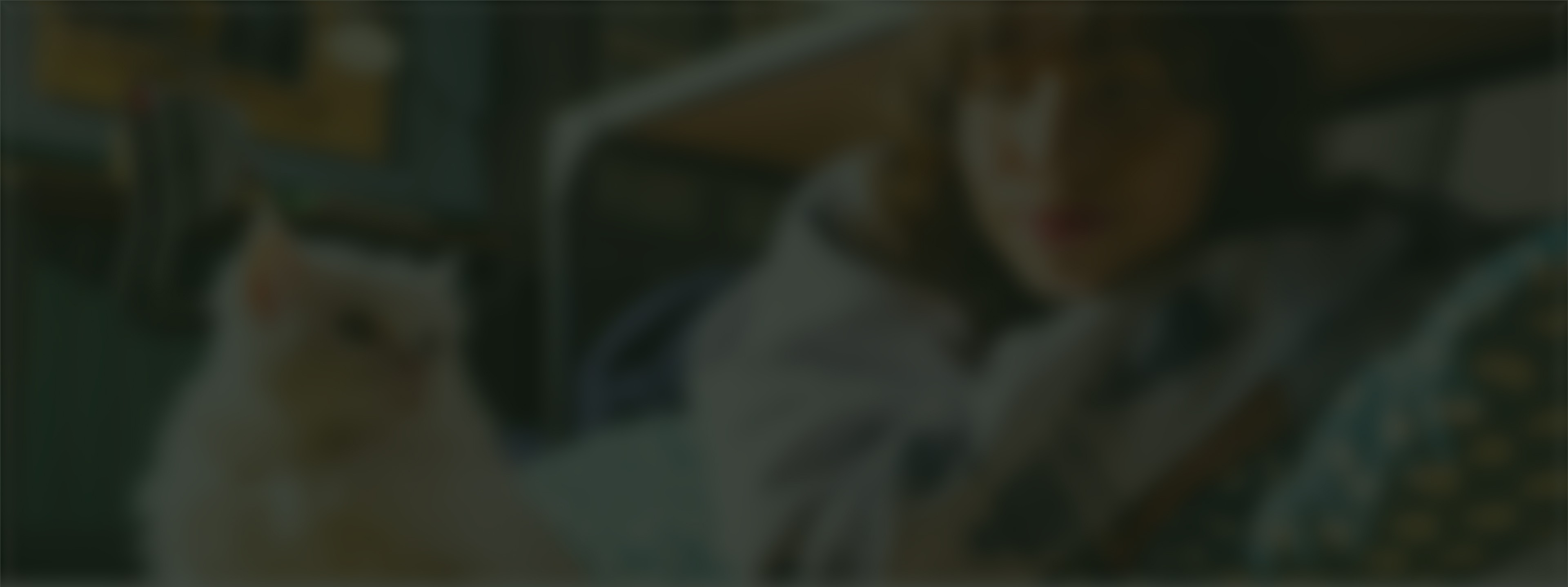 Pet wellness brand identity redesign for TrinkTiger