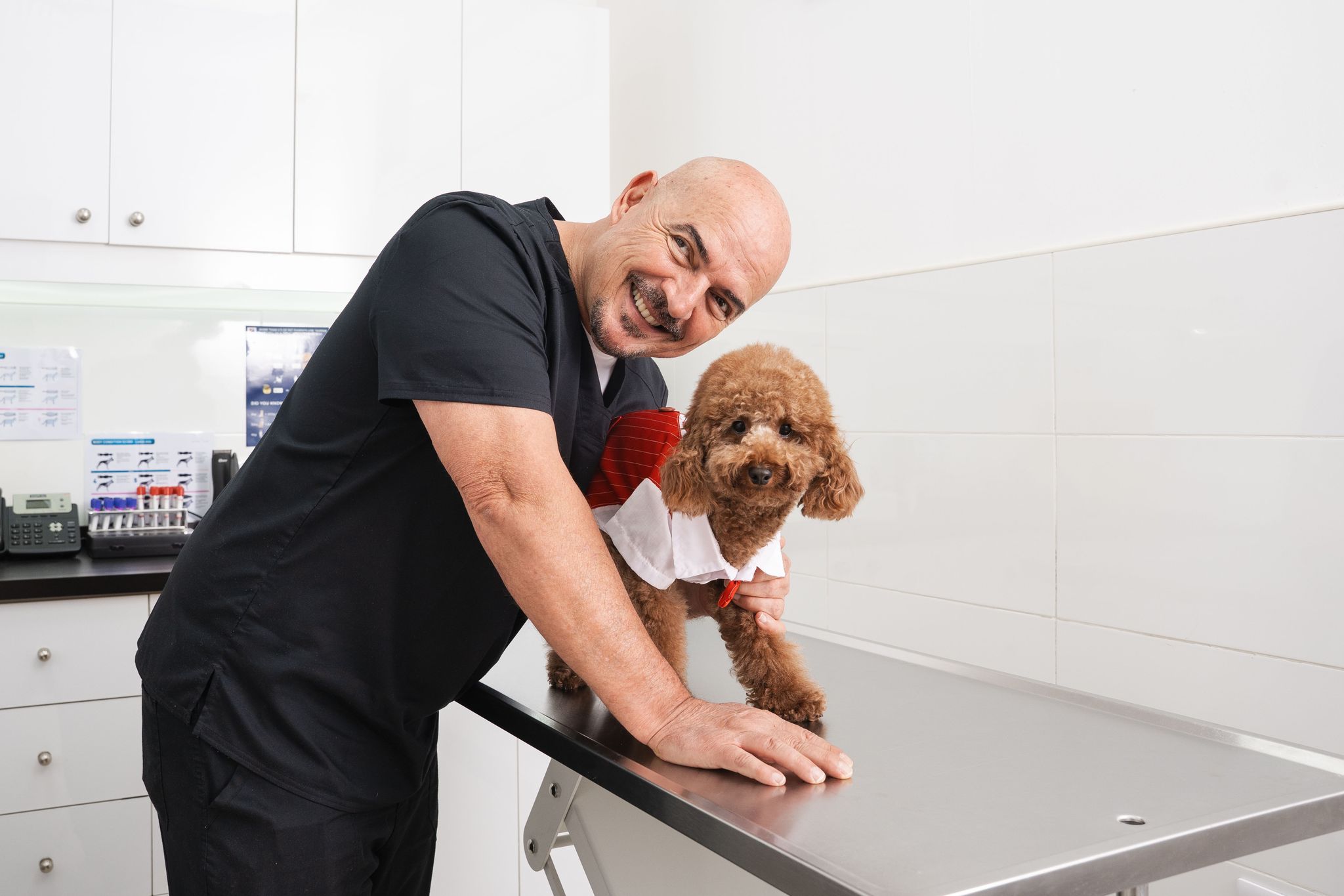 A veterinarian with a black shirt is leaning on the table beside a brown dog with curly fur.