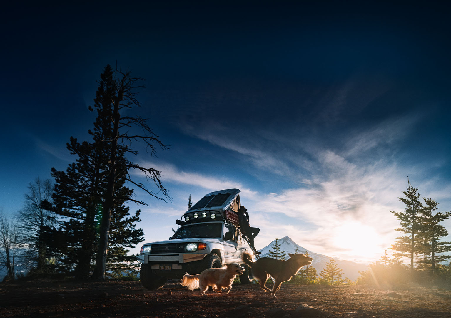 Woman leaning against an SUV in the moutains, watching her two dogs run and play