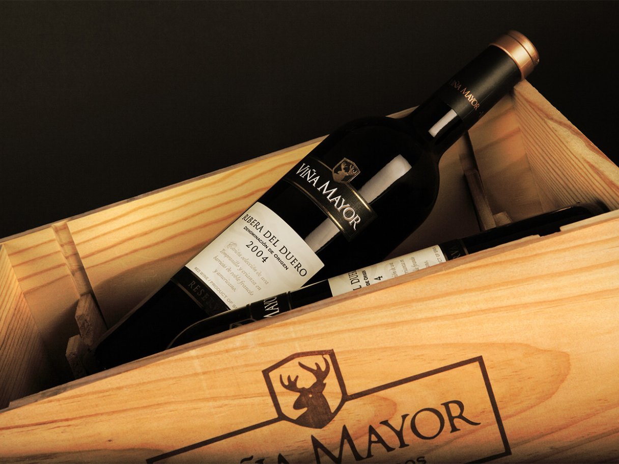 Rooftops of a coastal town with the sea in background