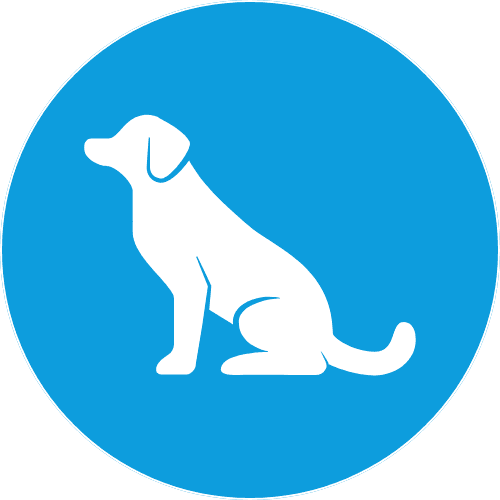 dog icon
