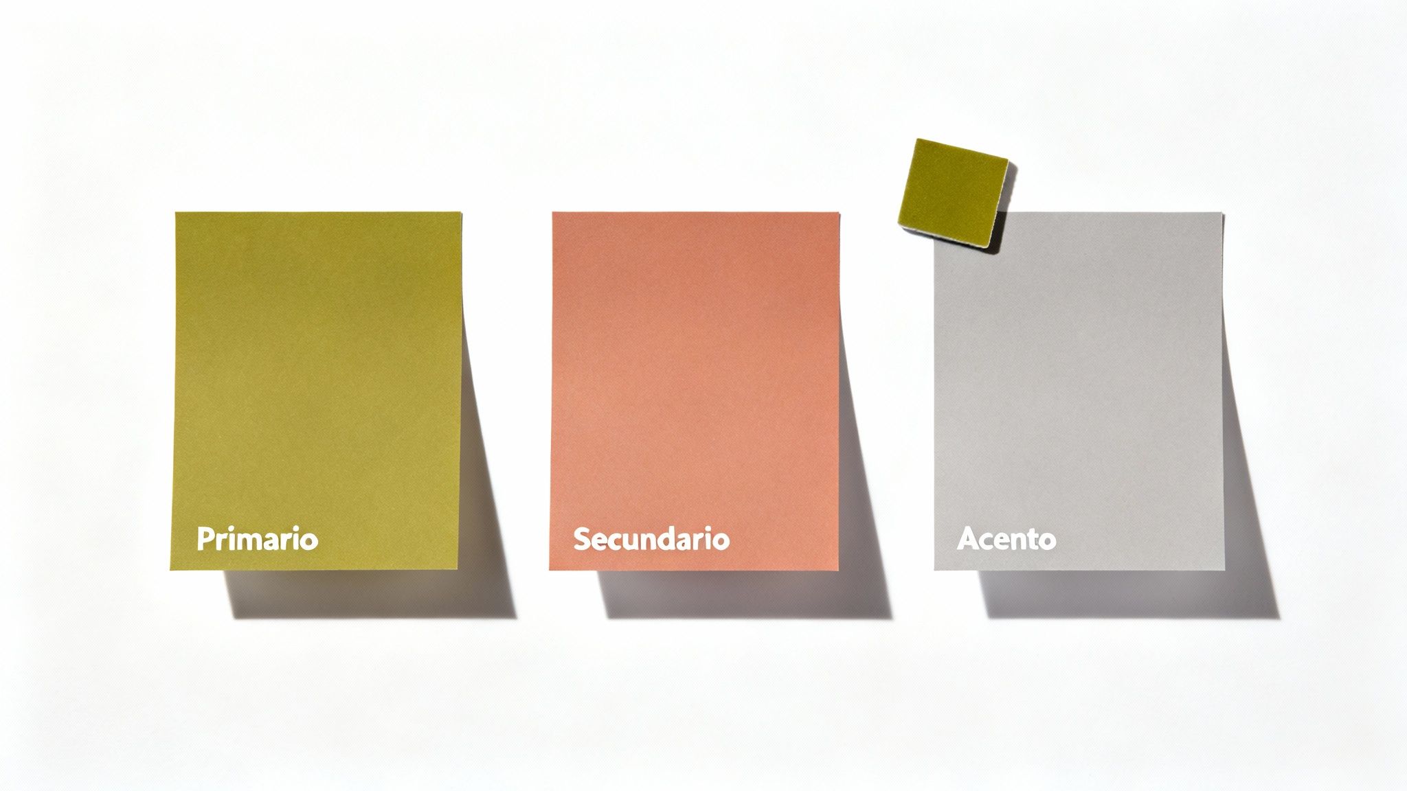 Paleta de colores para imagen corporativa: verde oliva primario, coral secundario y gris acento.