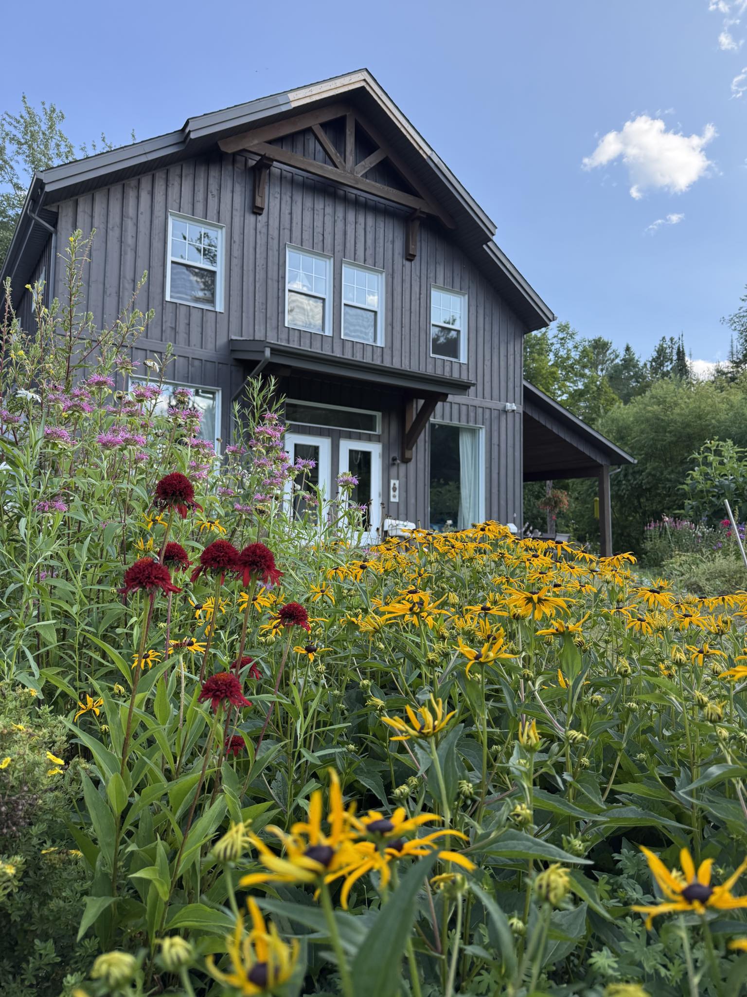 Façade en bois foncé du gîte R112 Nord entourée de fleurs sauvages colorées, par une journée d’été ensoleillée.