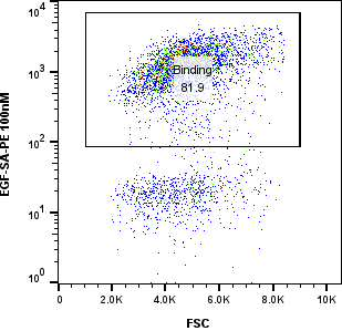 100 nM EGF EGF yeast display FACS binding plot thumbnail