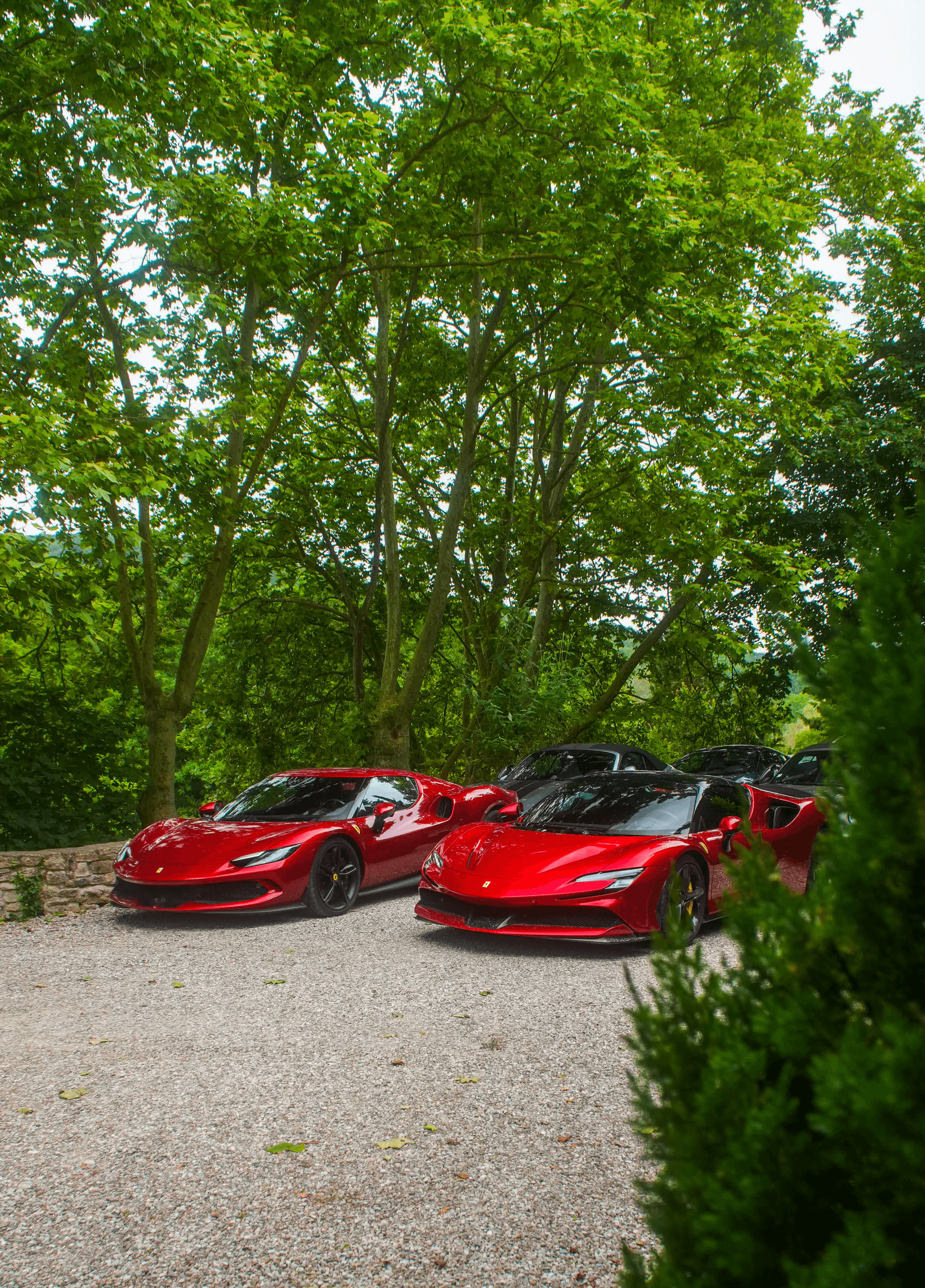 Ferrari SF90 et 296 GTB