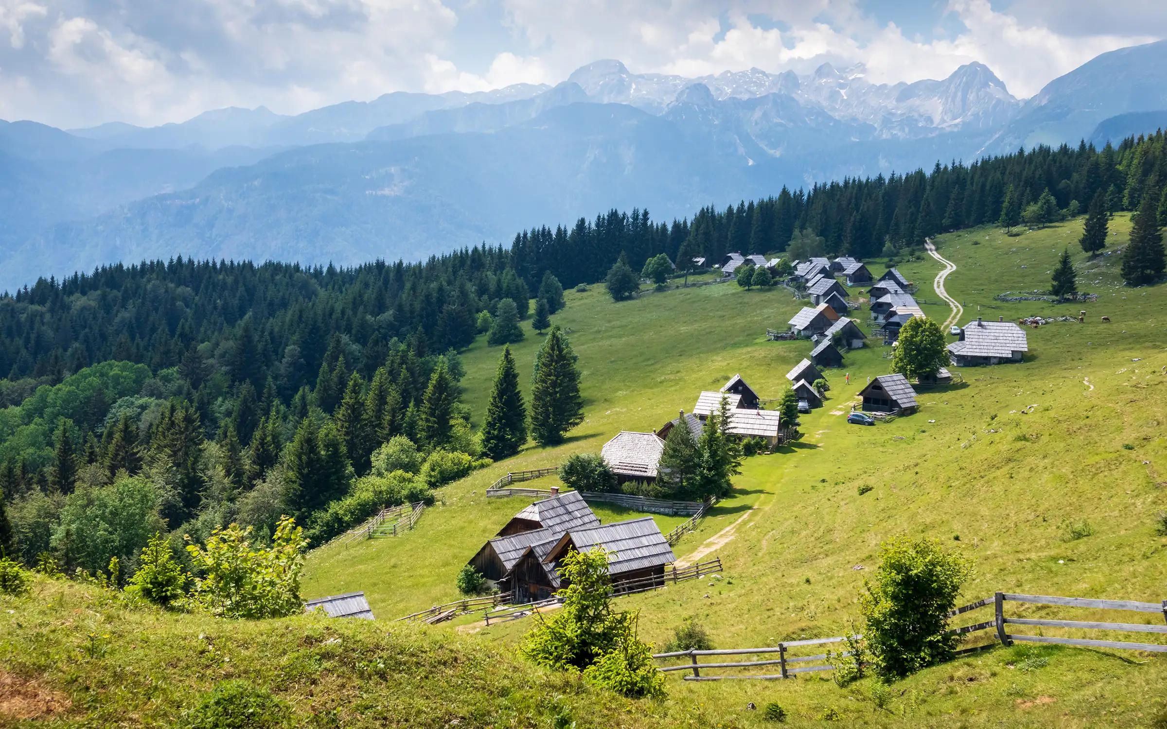 Pokljuka High Plateau i Slovenia | Expa Travel