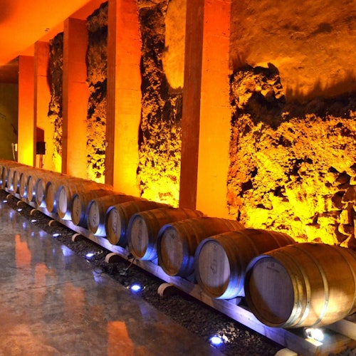 A row of wooden barrels lined up against a textured wall illuminated by warm, orange lighting in a wine cellar.