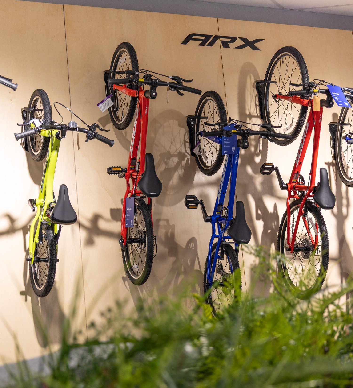 Giant Bikes Brand Store