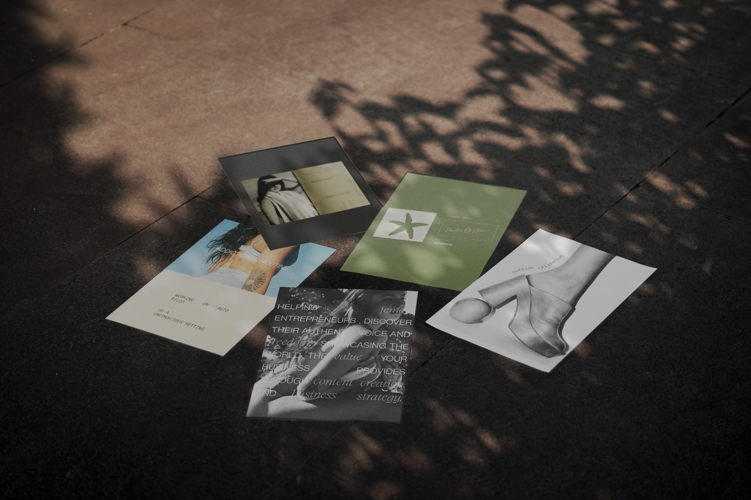 Sunlit flat lay of various branding assets, embodying the essence of creative direction and strategic design.