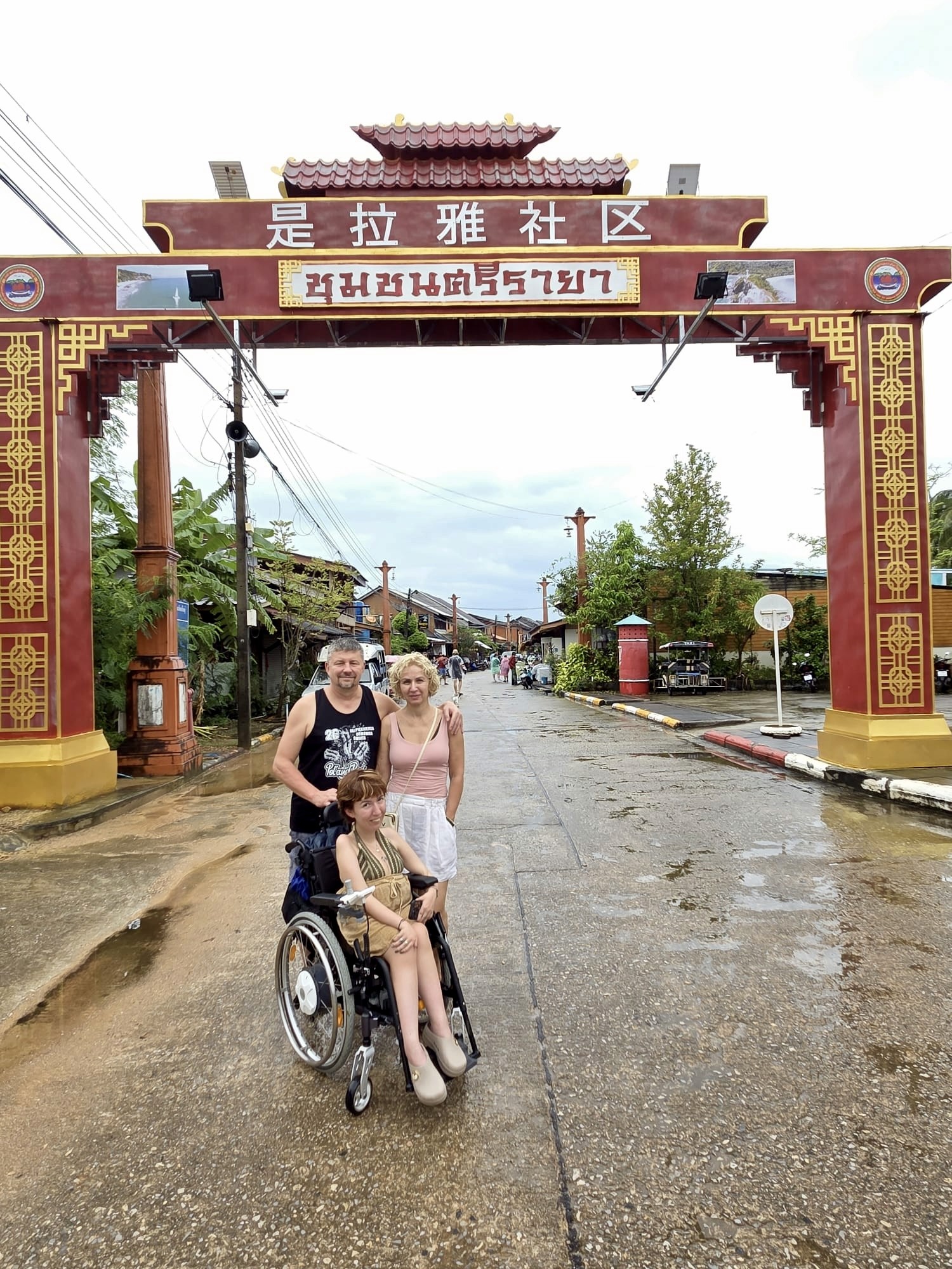a brown dog sitting on top of a sandy beach