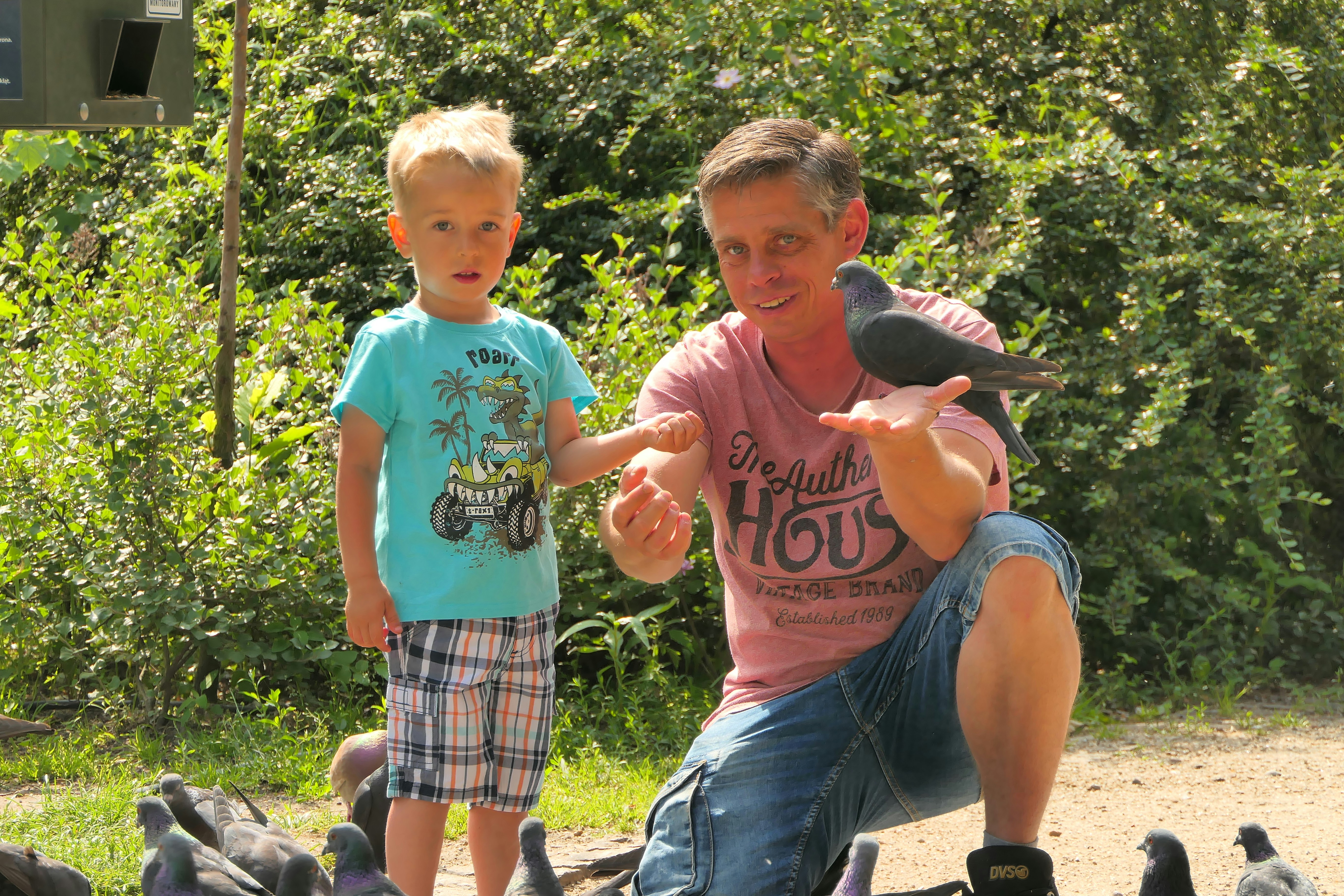 a man kneeling down next to a little boy near a flock of birds