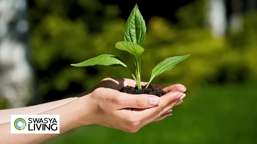 Importance of Agriculture