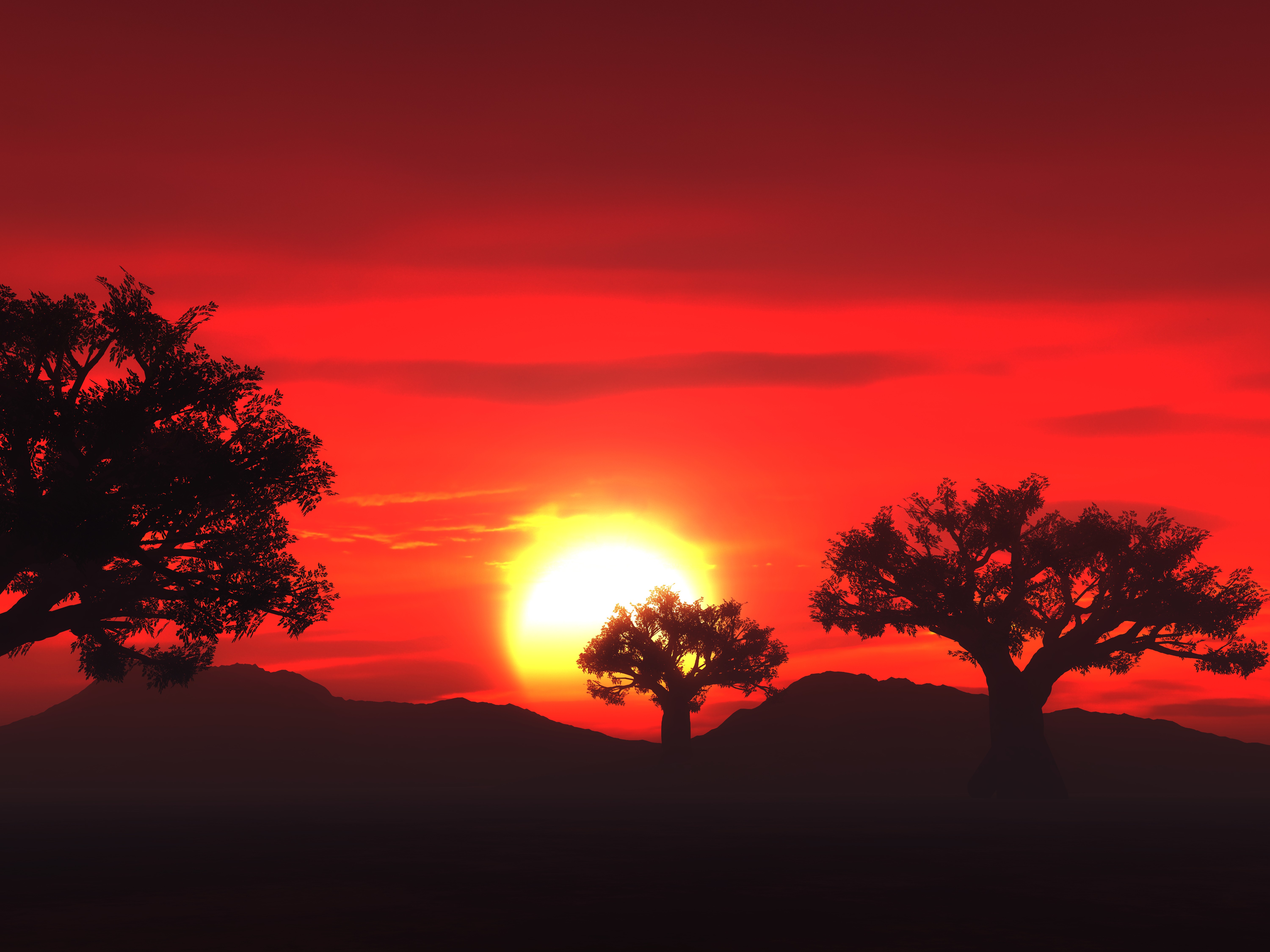 Sunset