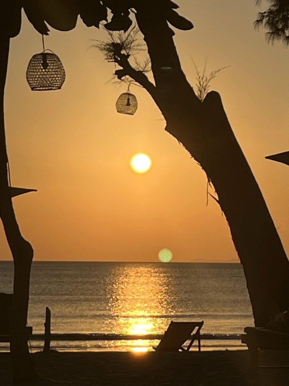 Mare al tramonto con silhouette di alberi e spiaggia