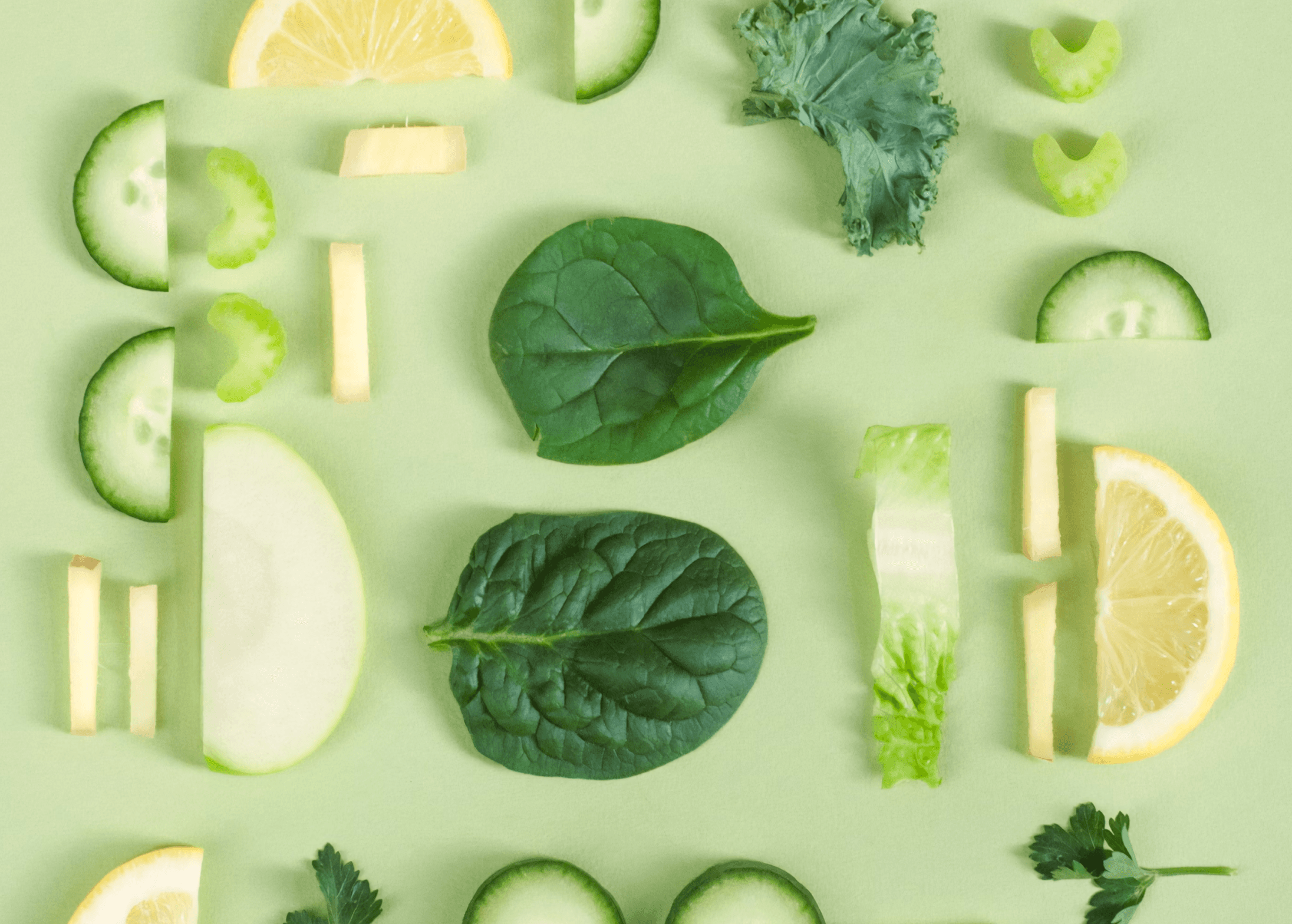 metabolic balance program