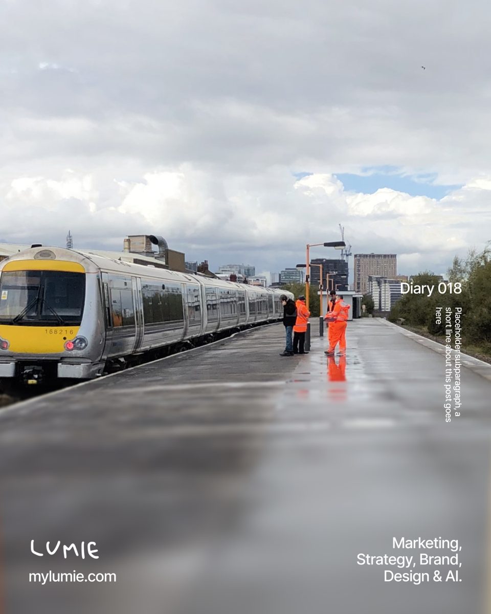 Diary 018 poster