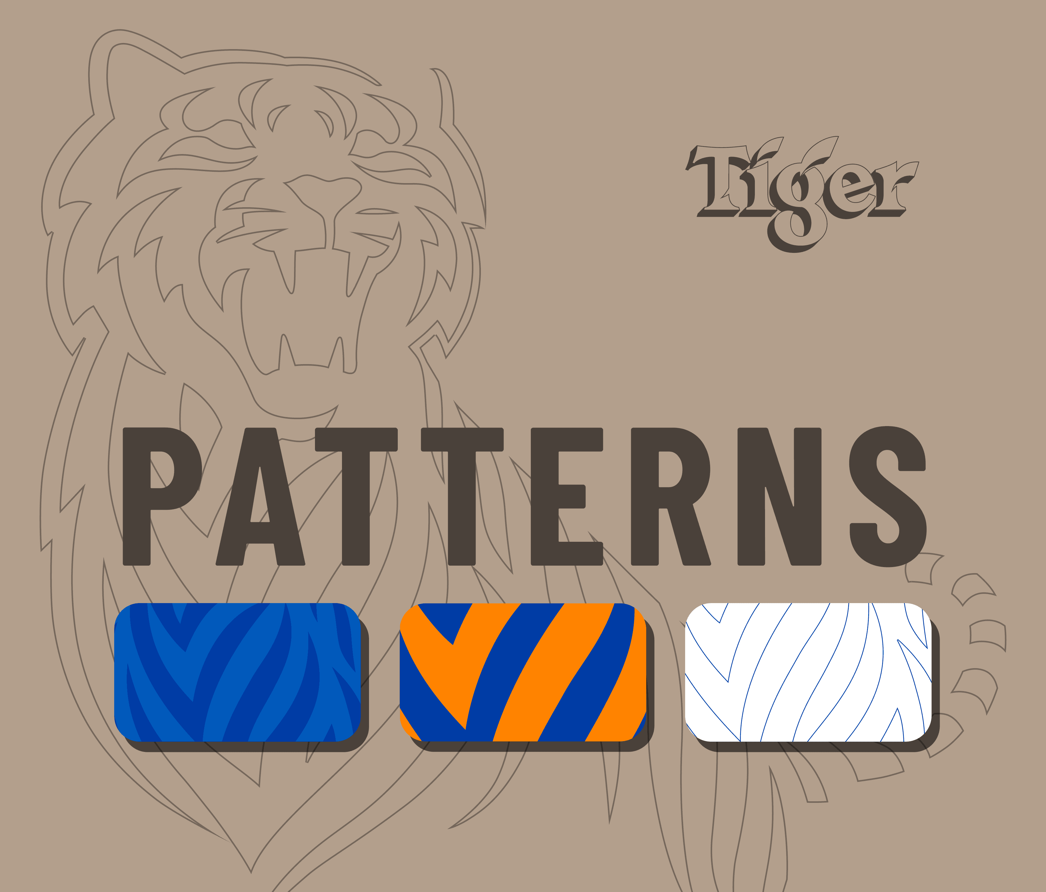Custom graphic patterns created by our team for Tiger's visual identity system