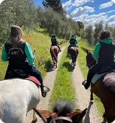Escursione a Cavallo a San Miniato