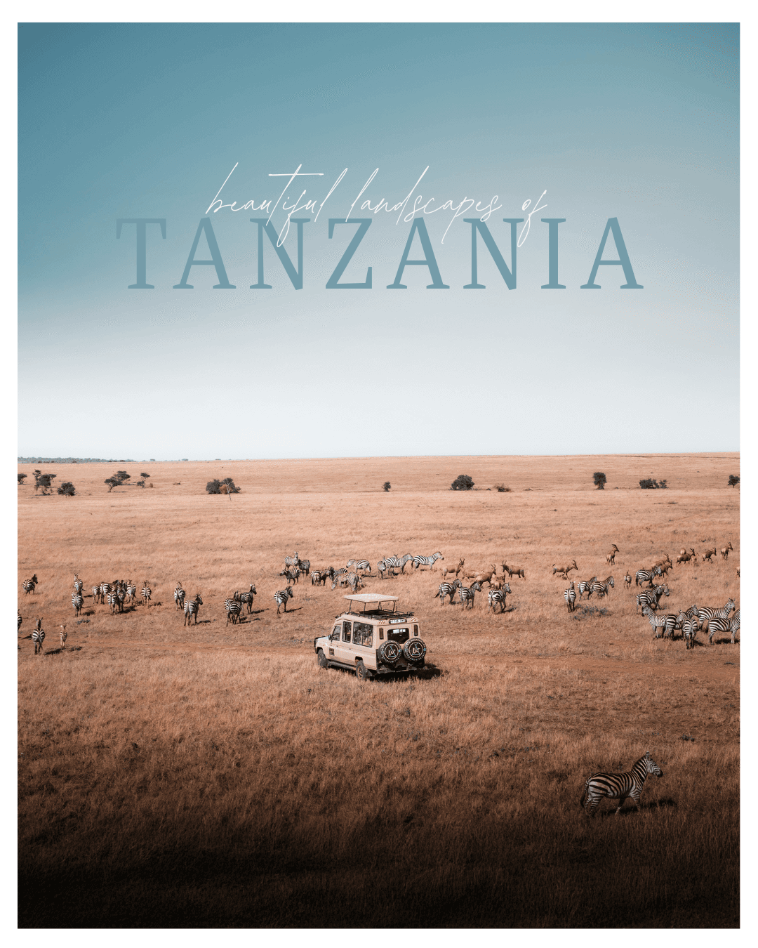 Voyageurs en safari en Tanzanie lors d’une production Wagabon