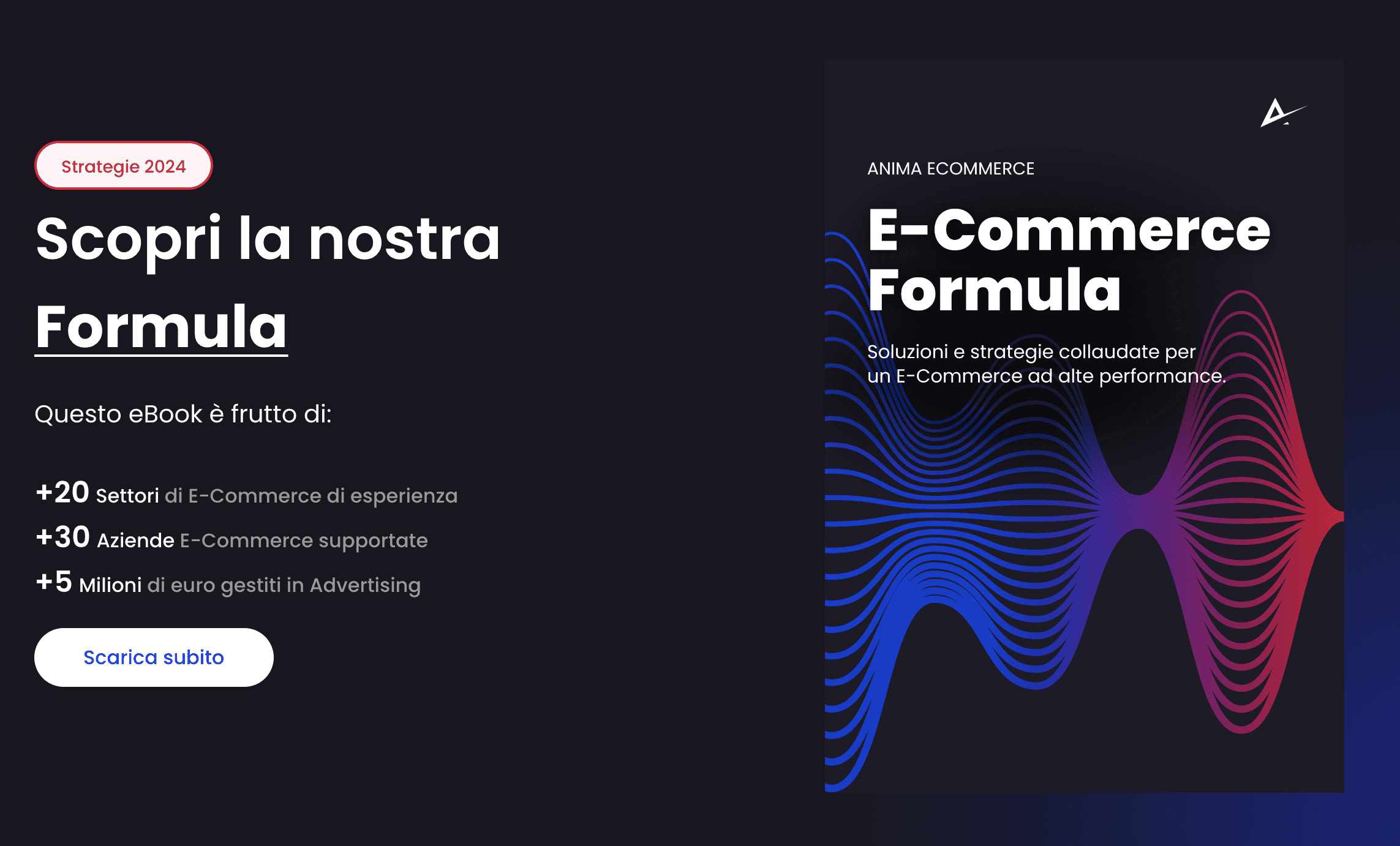 ebook anima ecommerce