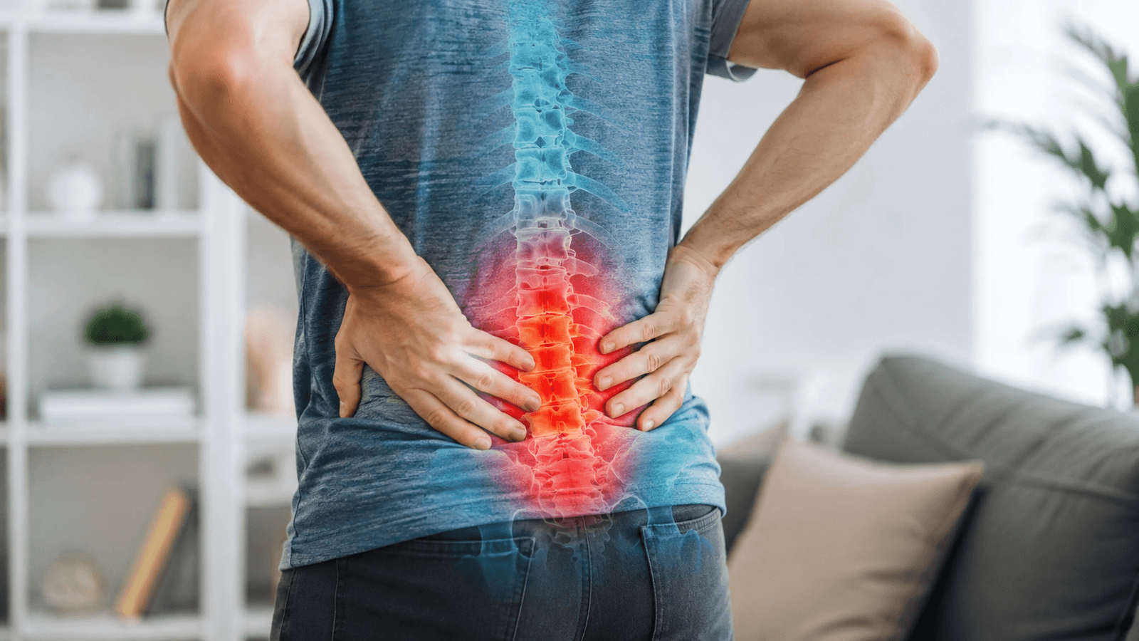 Lower Back Pain & Sciatica