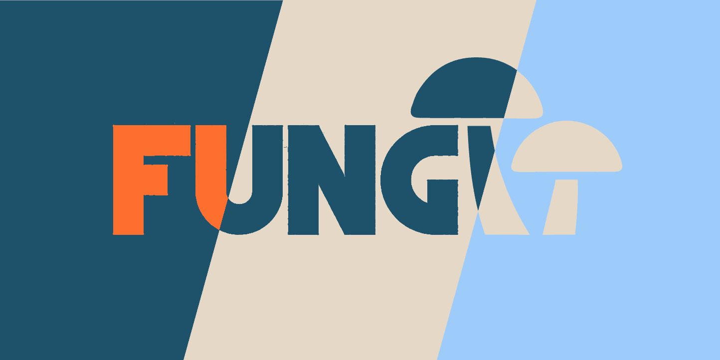 Fungii logo and mushroom symbol on a striped colour background, by Tom, co-founder of LINKS Studio