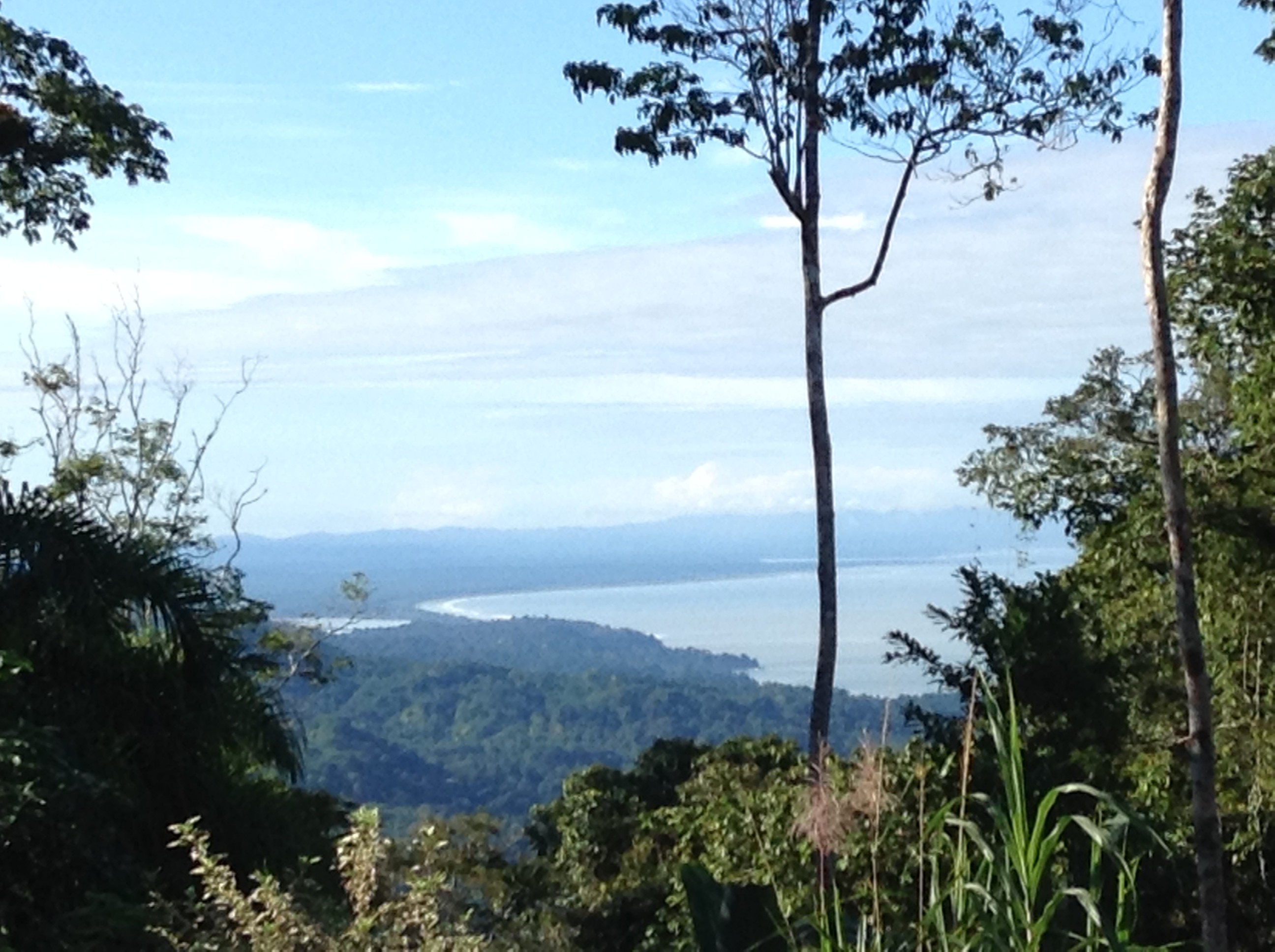 views of the pacific ocean from the mountain 