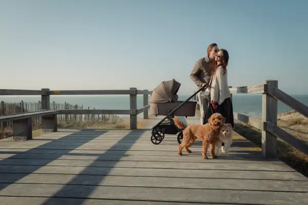 Family with pram and two dogs on the beach