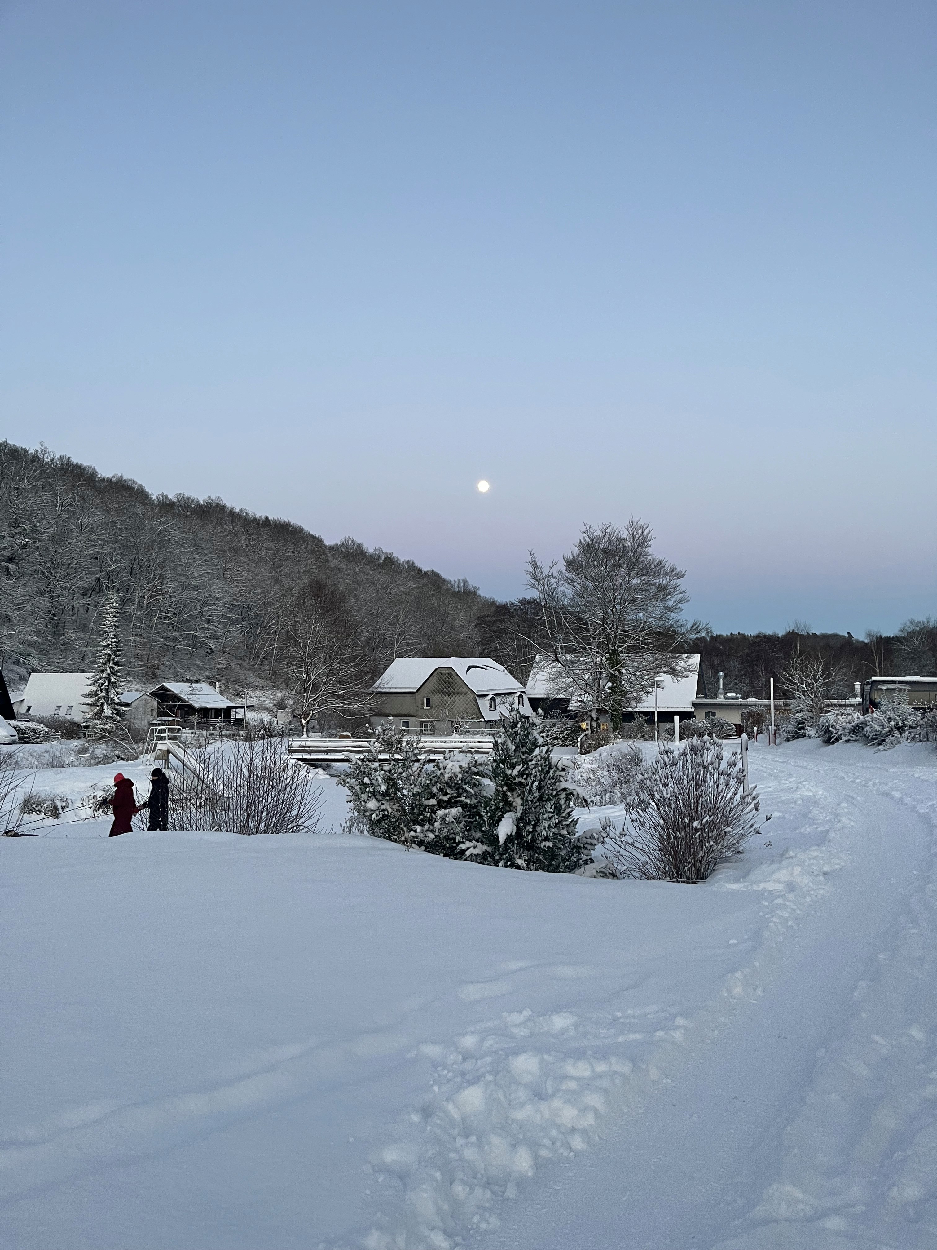 See in weißer Pracht mit Vollmond