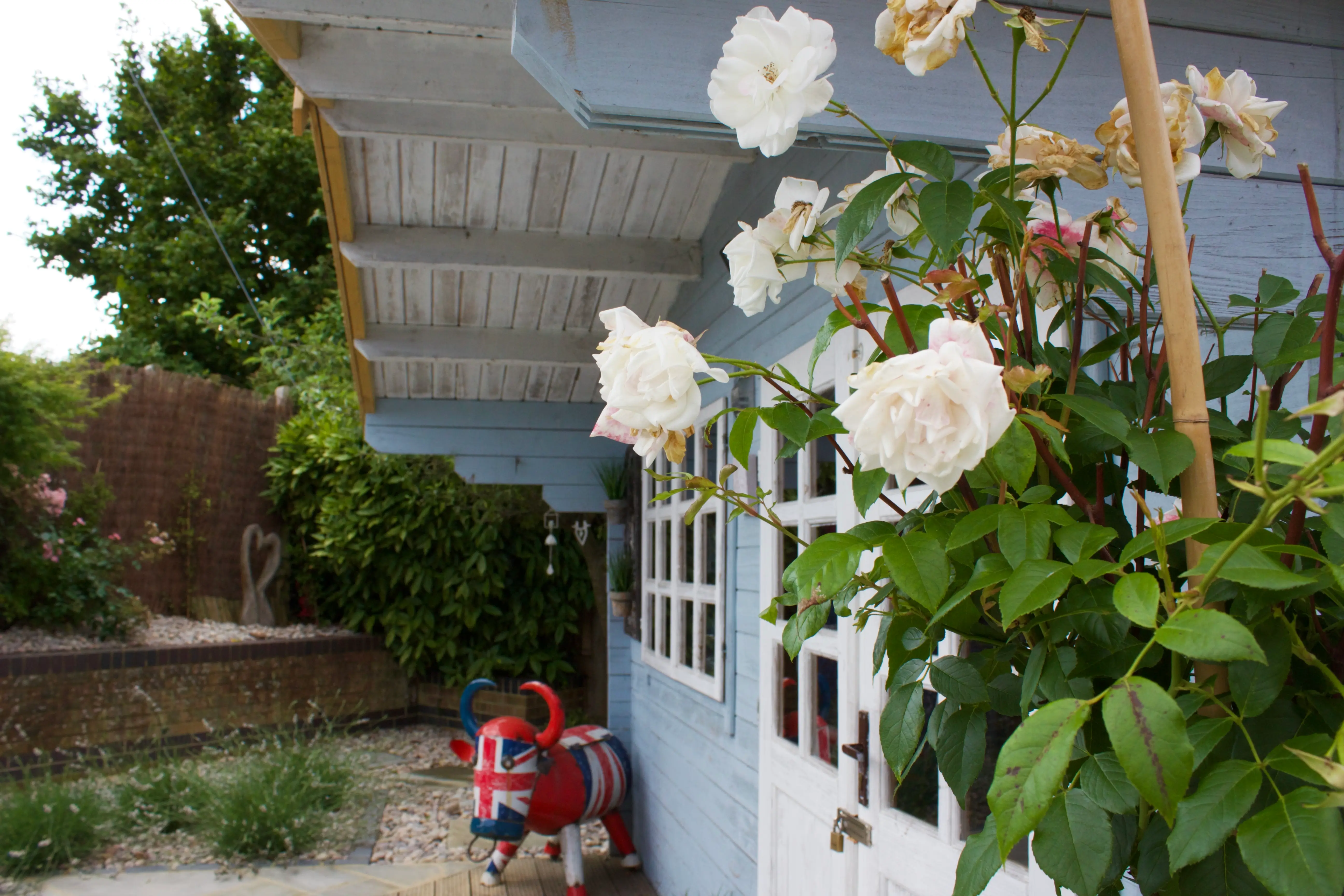 A cozy outdoor scene featuring a house wall adorned with white flowers and greenery, a person seated nearby.