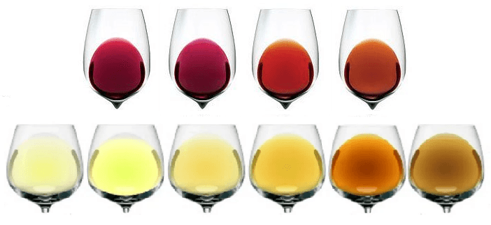 顏色推理：深紫赤霞珠 vs 透光寶石紅黑皮諾的視覺線索