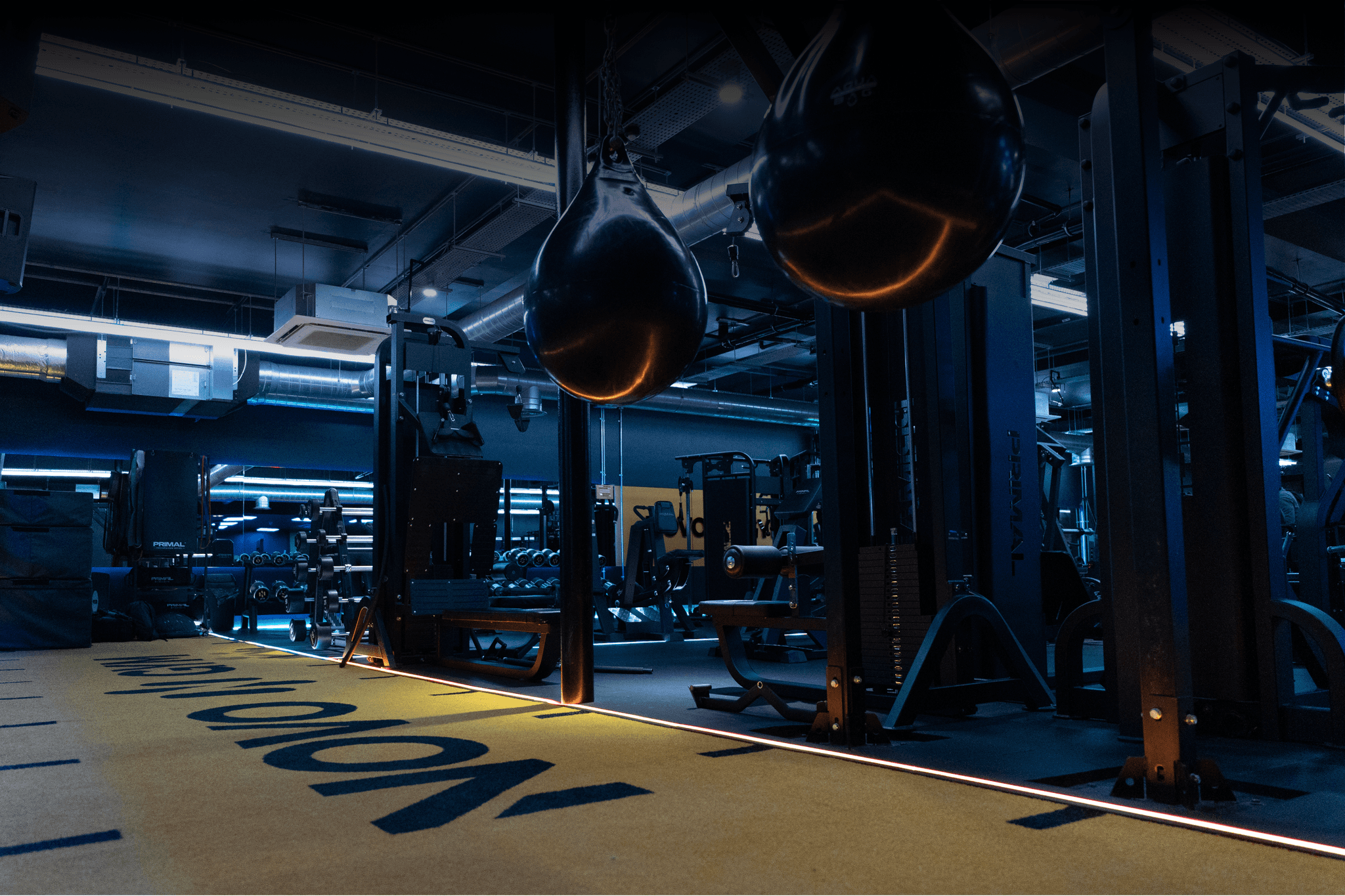 Gym Floor