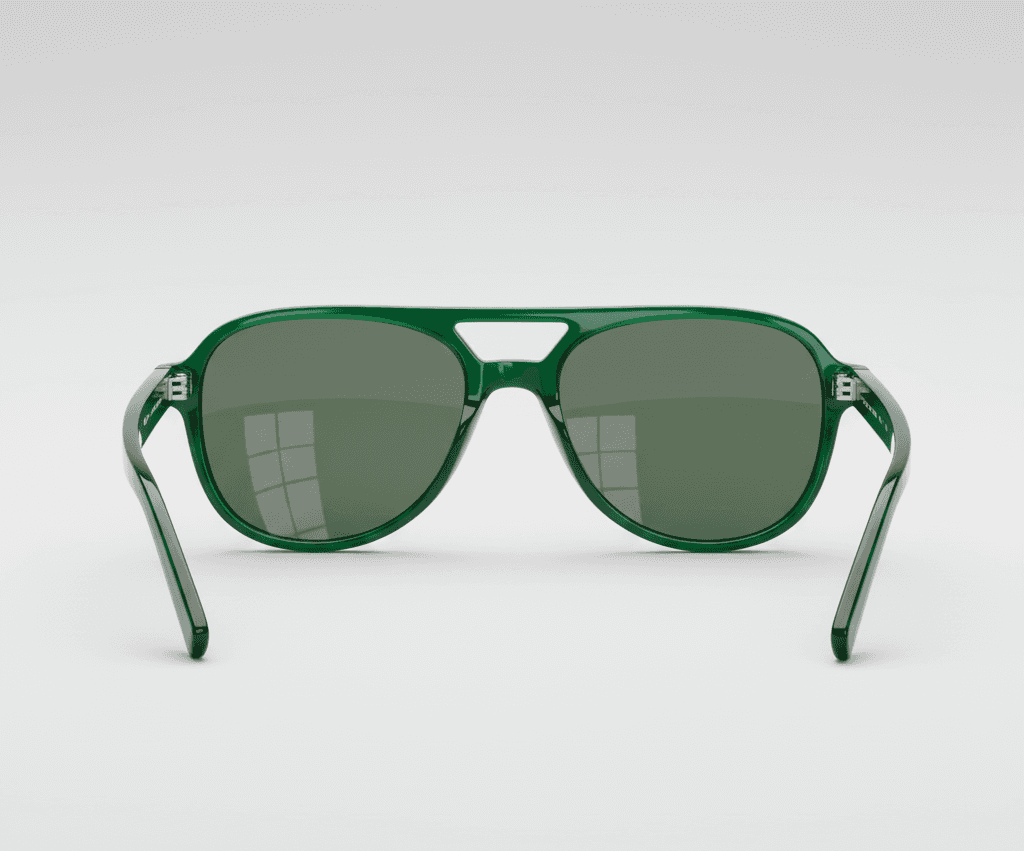 sunglasses back view