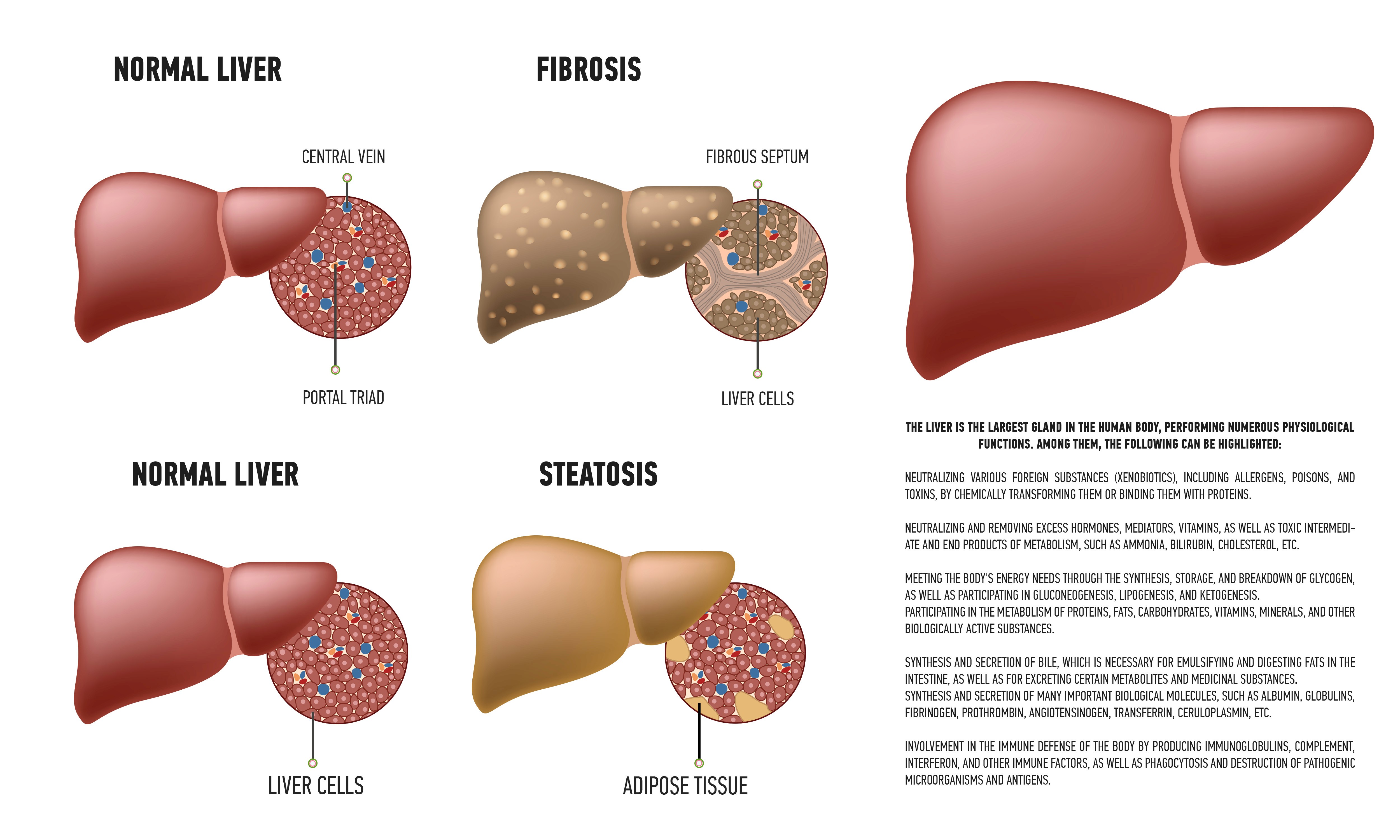 Extracted currency modules