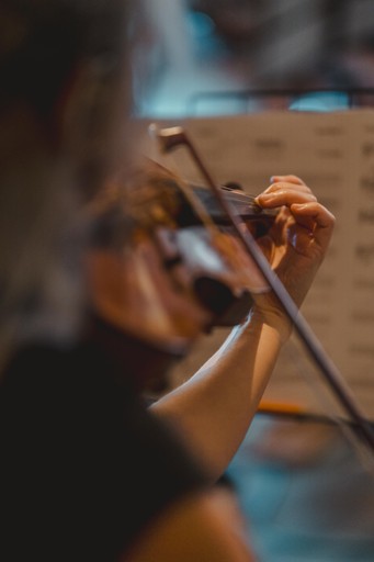 brown leather 2-seat sofa
