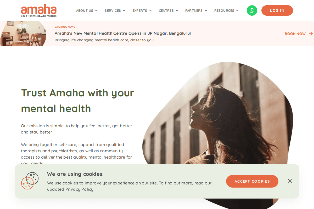 Amaha Website Interface