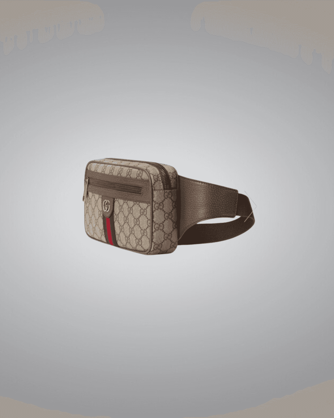 Gucci Belt Bag