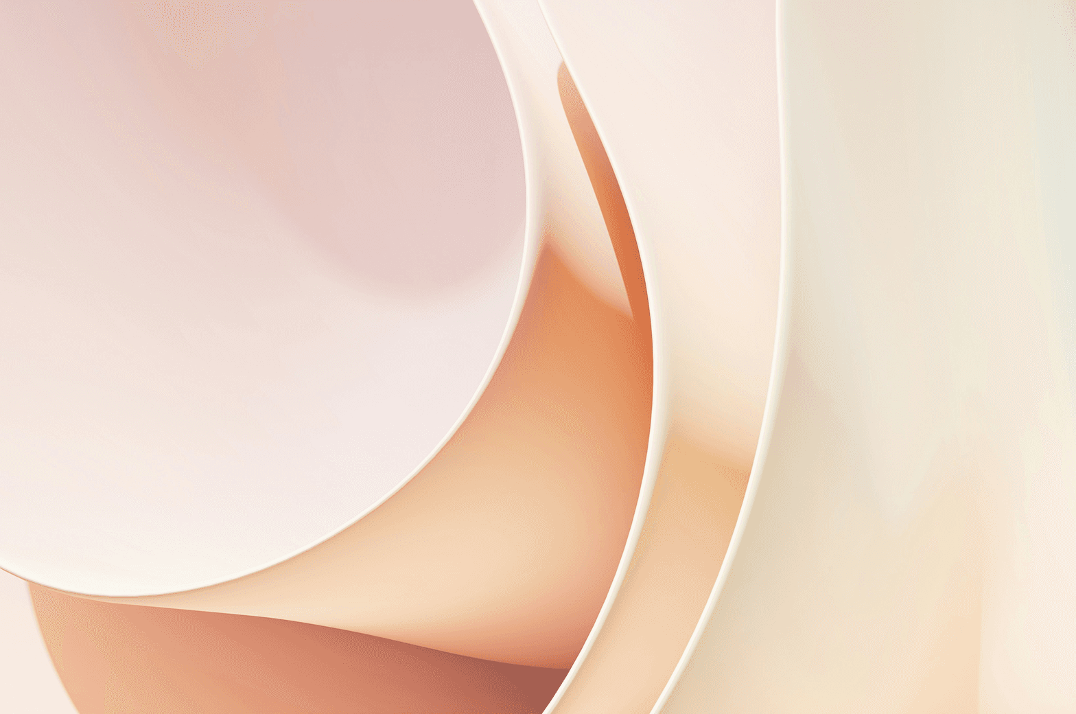 Case Study Image