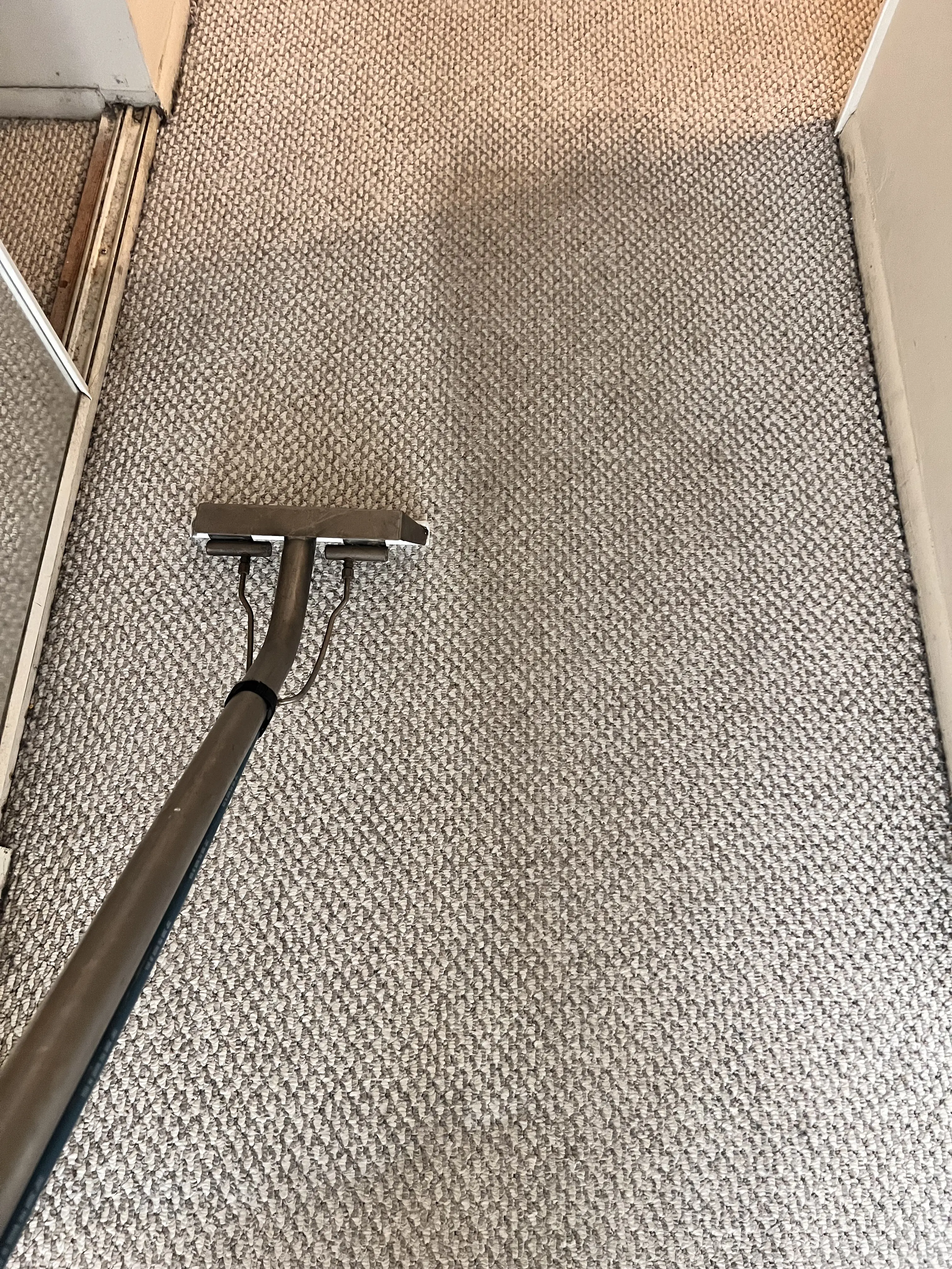 Vacuum cleaner on a carpet.