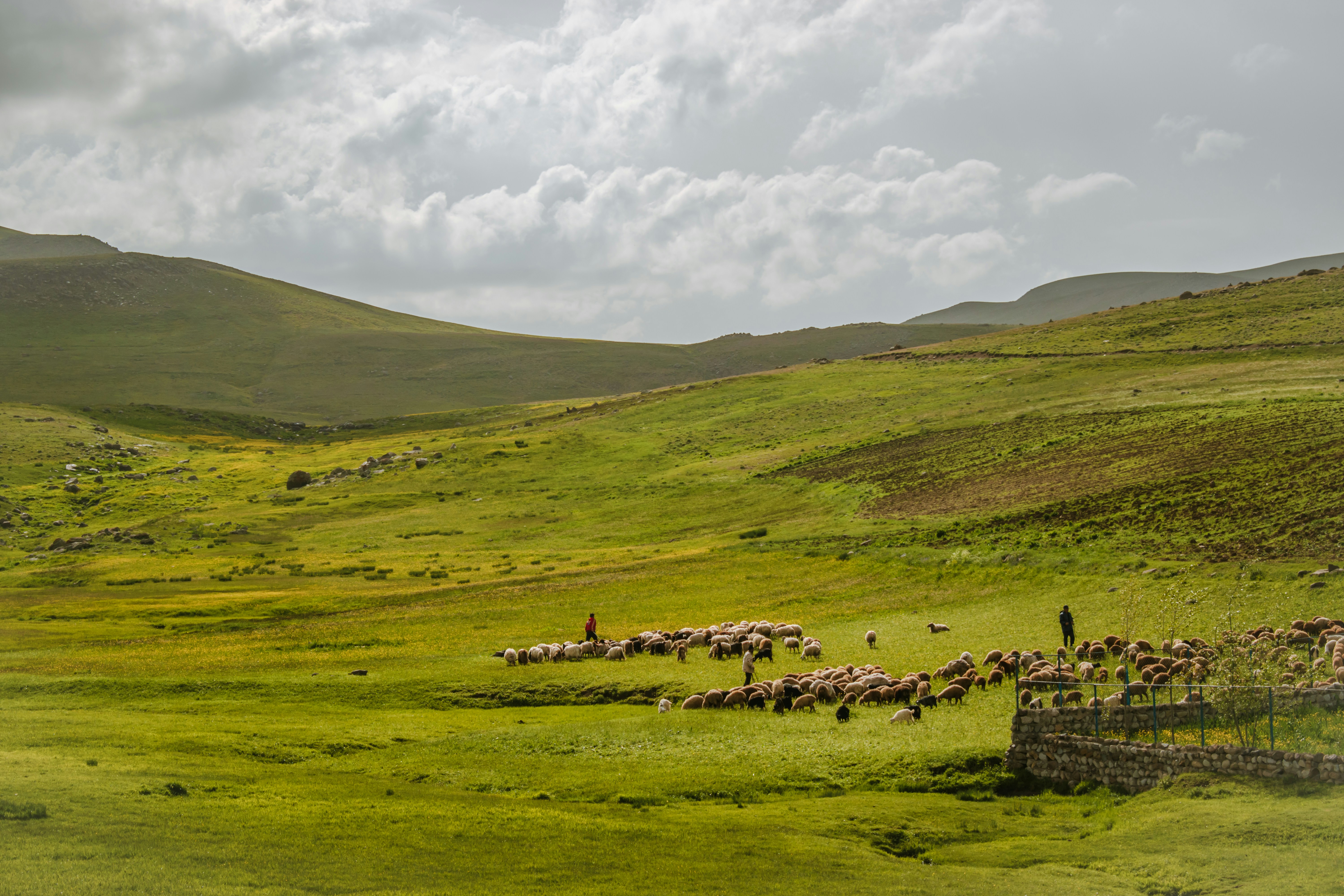 A green wide field with hills in the background